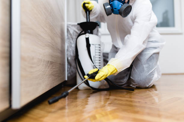 Best Affordable Pest Control Services  in Adrian, MI