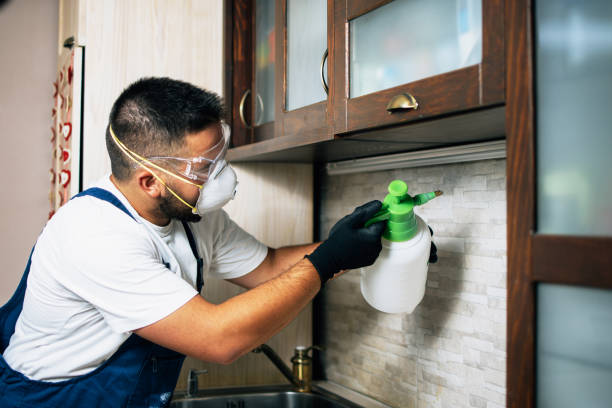 Professional Pest Control in Adrian, MI