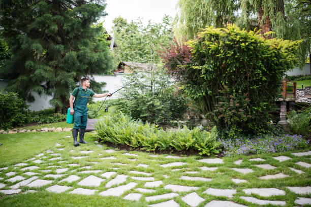 Best Local Pest Control Services  in Adrian, MI