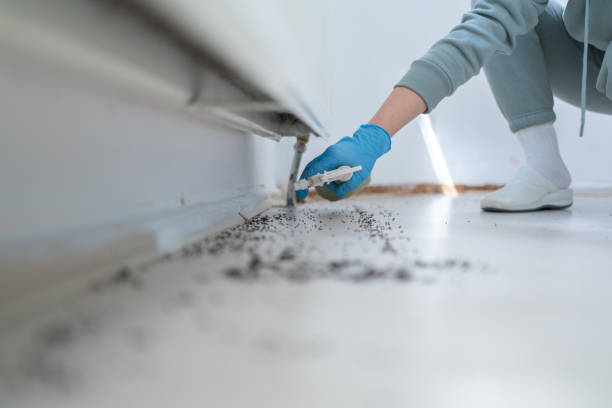 Best Mosquito Control Services  in Adrian, MI